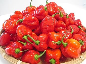 Amazon | ハバネロ悪魔のささやきチョコレート（スパイシーチョコ